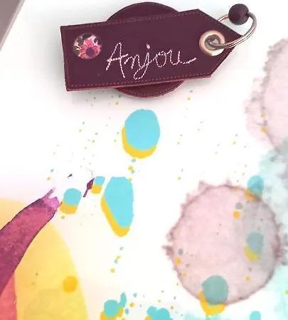 Histoire De Loire - Anjou Sdb Partagee Гостевой дом Сомюр