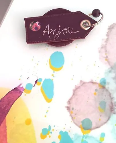 Histoire De Loire - Anjou Sdb Partagee Gæstehus Saumur