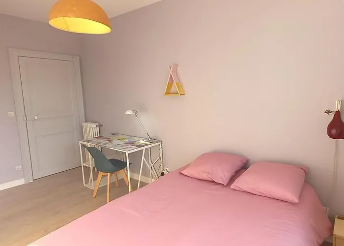 Gasthuis Histoire De Loire - Anjou Sdb Partagee *